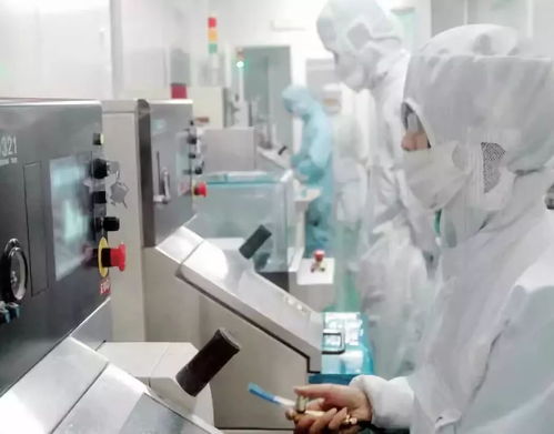 郊傲德清 以改革為引擎，驅動網絡科技研發不停步